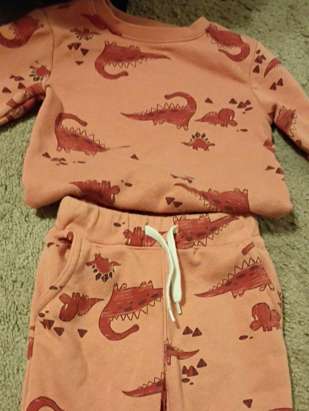 Kids' Dino Print Sweatshirt & Joggers Set